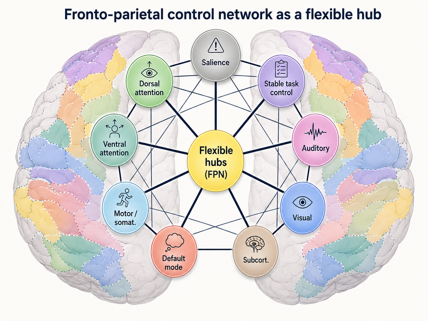 Conceptual diagram of the frontoparietal control network as a flexible hub connecting attention, sensory, motor, default mode and salience systems.