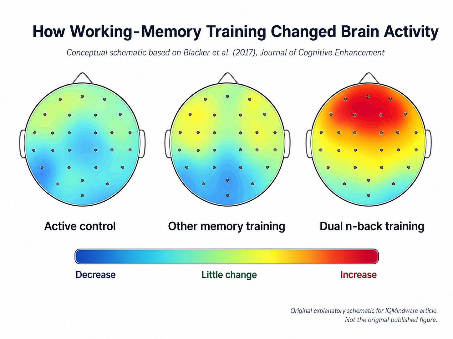 Conceptual EEG-style infographic showing brain activity changes after active control, other memory training and dual n-back training.