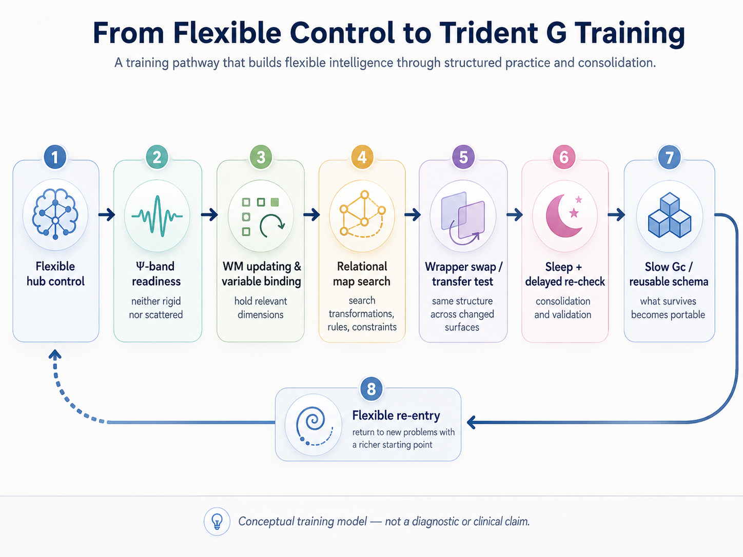 Conceptual Trident G training pathway linking flexible hub control, readiness, working-memory updating, relational search, transfer testing, sleep and flexible re-entry.